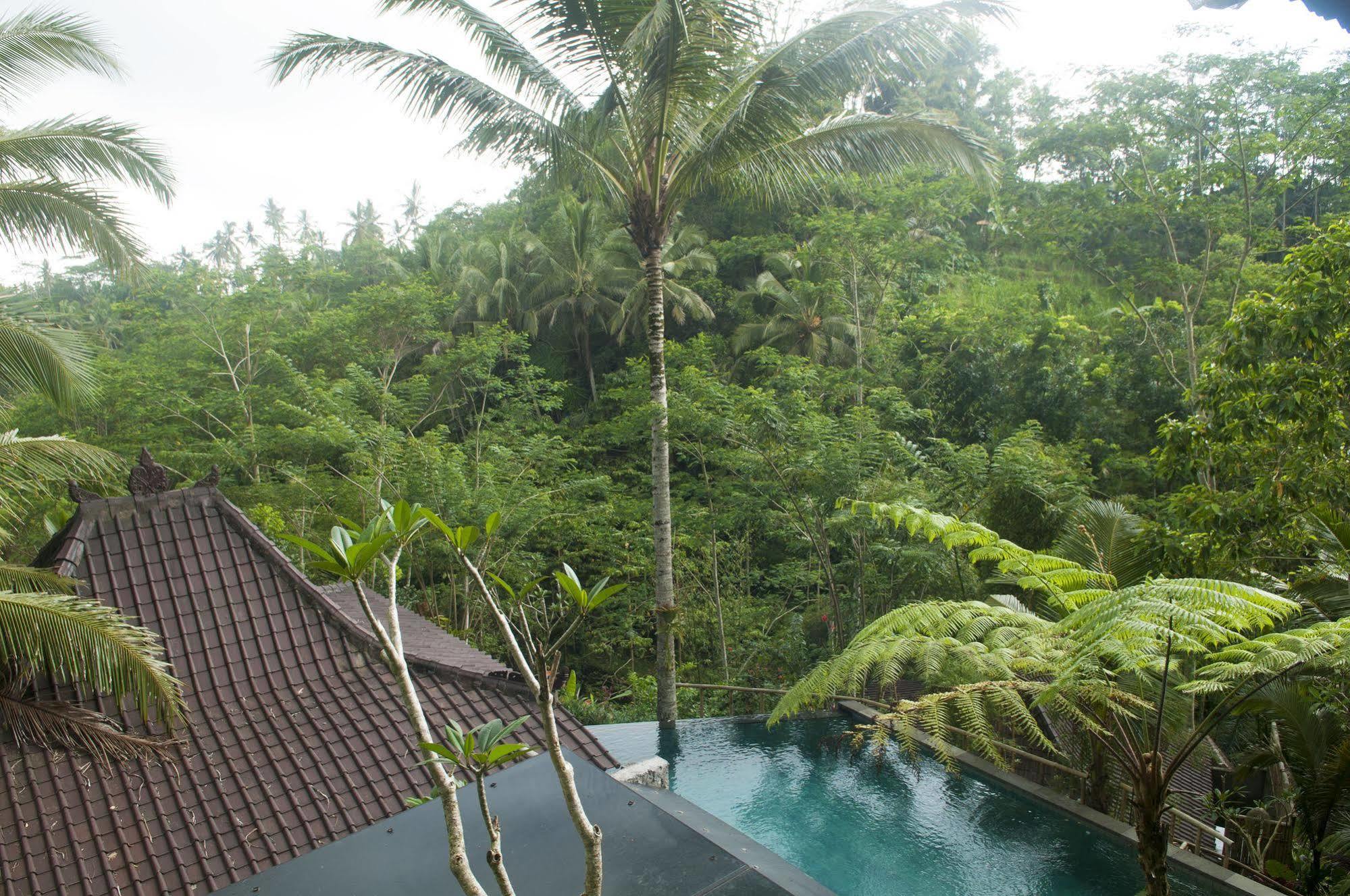 Ubud Jungle Holy Water Exterior foto